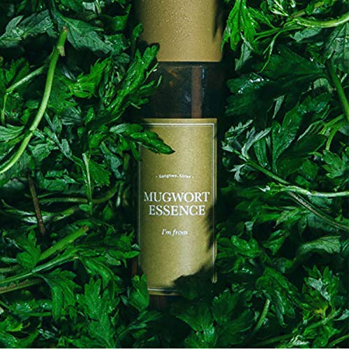 MUGWORT ESSENCE 160ML